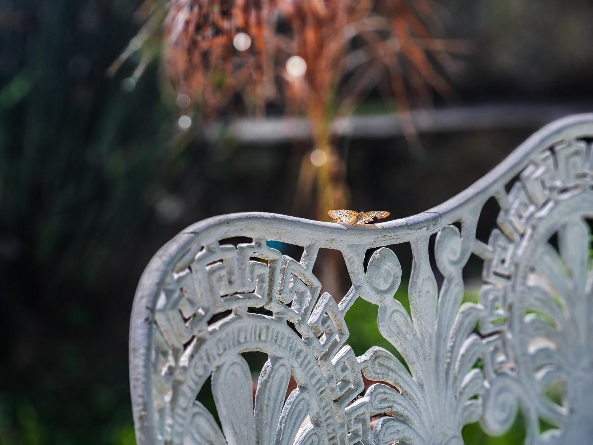 Bella Vista Ocean View Hotel Armacao dos Buzios ภายนอก รูปภาพ Detail of a cast iron bench