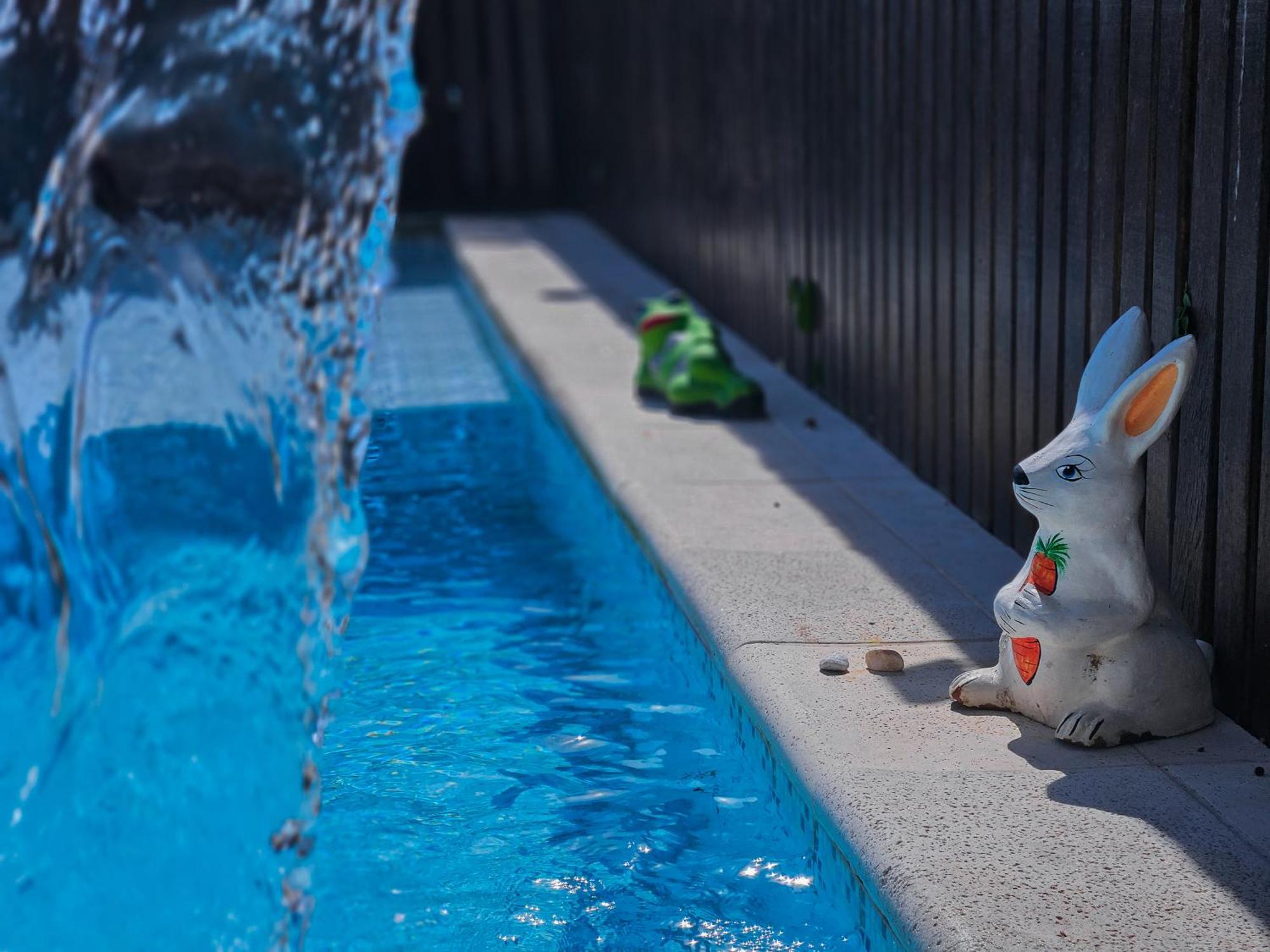 Bella Vista Ocean View Hotel Armacao dos Buzios ภายนอก รูปภาพ A bunny watering can